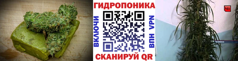 закладки  Сертолово  Canna-Cookies конопля 