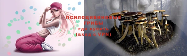 PSILOCYBIN Новокубанск