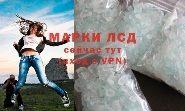 мяу мяу мука Абаза