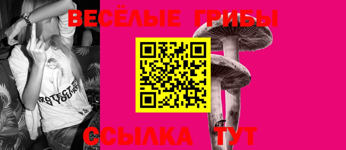 Галлюциногенные грибы Magic Shrooms Сертолово