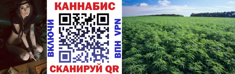 Канабис гибрид  Сертолово 